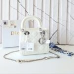 DIOR Bag For Women